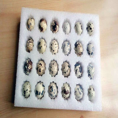 Máquina de perforar material de embalaje de papel duradero con sistema hidráulico
